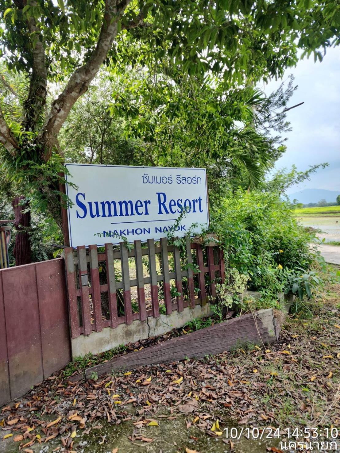 Summer In *